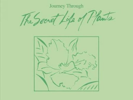 WONDER, STEVIE - JOURNEY THROUGH THE SECRET LIFE OF PLANTS (2LP VINYL) on Sale