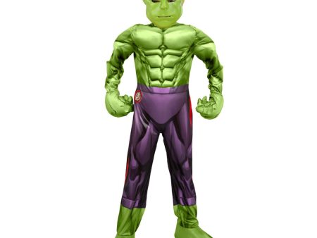 Child Hulk Deluxe Costume Online Sale