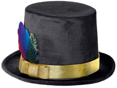 Fancy Feather Top Hat Online now