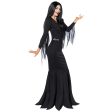 Adult Morticia Costume Online