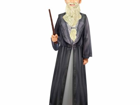 Child Dumbledore Costume Cheap