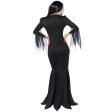 Adult Morticia Costume Online